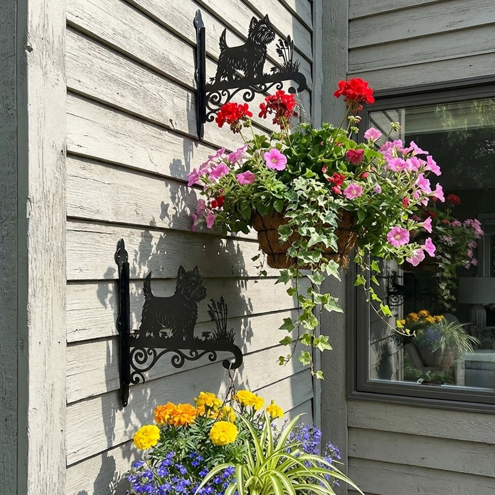 West highland white terrier metal hanging basket bracket mounted on outdoor wall for plant decoration