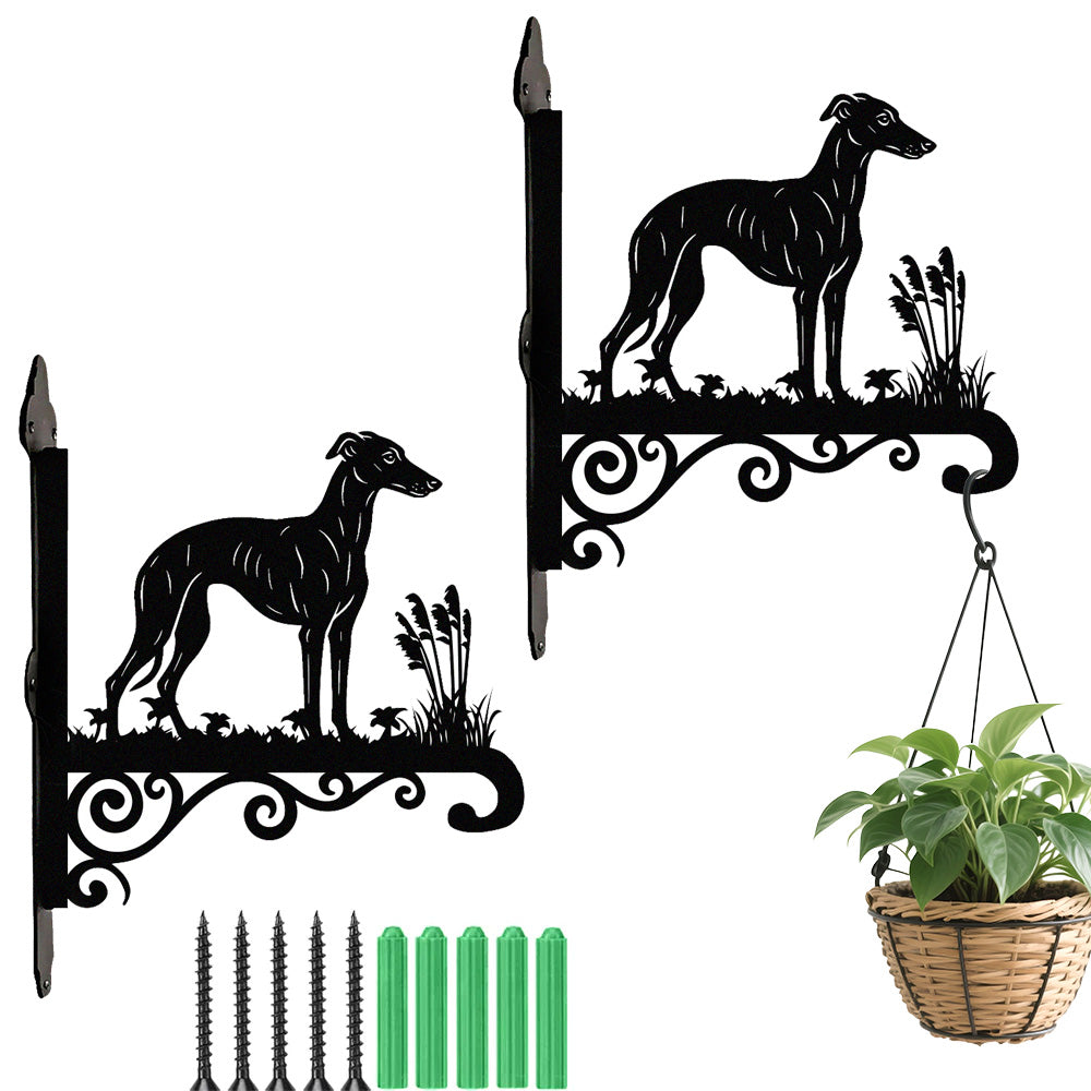 Whippet metal hanging basket bracket mounted on outdoor wall for plant decoration