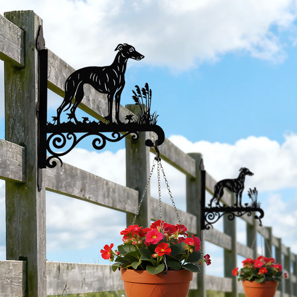 Whippet metal hanging basket bracket mounted on outdoor wall for plant decoration