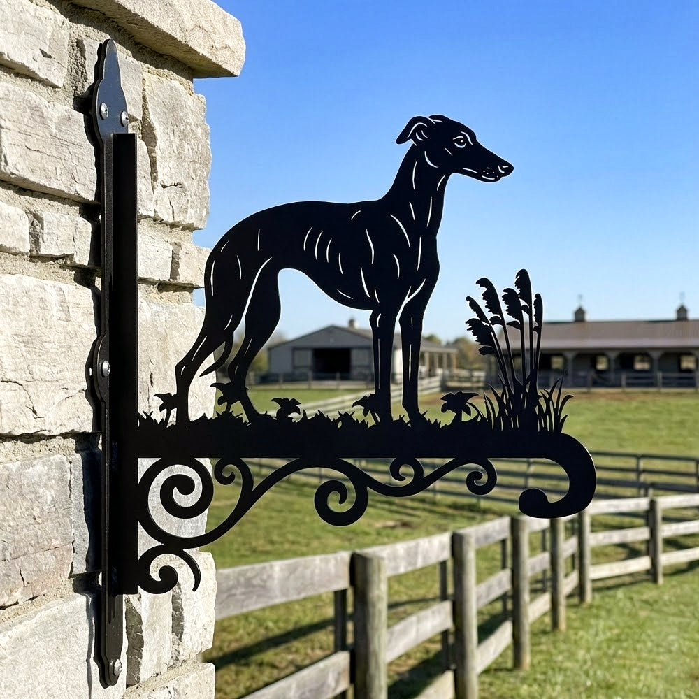 Whippet metal hanging basket bracket mounted on outdoor wall for plant decoration