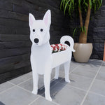 White Swiss Shepherd Dog planter filled with fresh flowers is placed in the garden