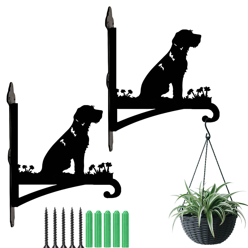 Wirehaired dog metal hanging basket bracket mounted on outdoor wall for plant decoration