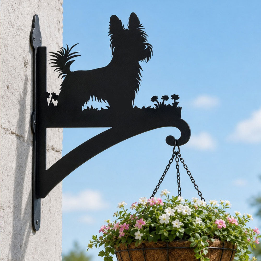 Yorkshire terrier metal hanging basket bracket mounted on outdoor wall for plant decoration