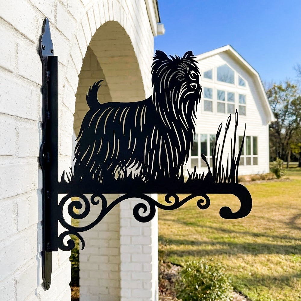 Yorkshire terrier metal hanging basket bracket mounted on outdoor wall for plant decoration