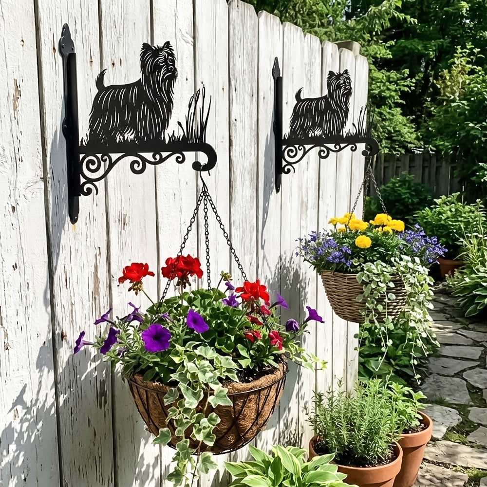 Yorkshire terrier metal hanging basket bracket mounted on outdoor wall for plant decoration