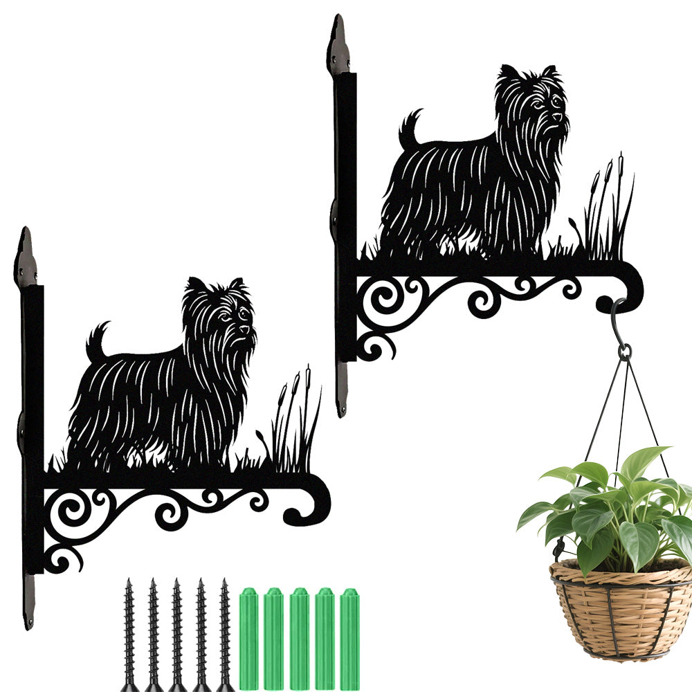 Yorkshire terrier metal hanging basket bracket mounted on outdoor wall for plant decoration