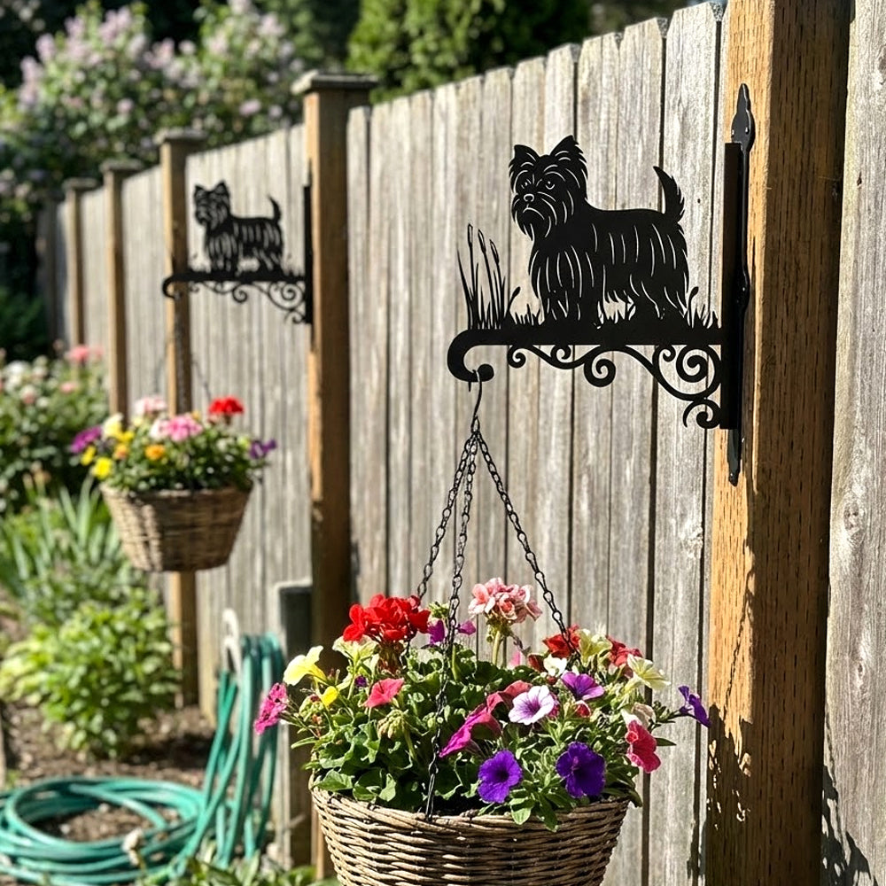 Yorkshire terrier metal hanging basket bracket mounted on outdoor wall for plant decoration