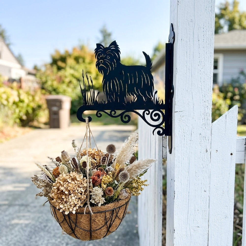 Yorkshire terrier metal hanging basket bracket mounted on outdoor wall for plant decoration