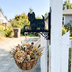 Yorkshire terrier metal hanging basket bracket mounted on outdoor wall for plant decoration