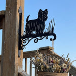 Yorkshire terrier metal hanging basket bracket mounted on outdoor wall for plant decoration