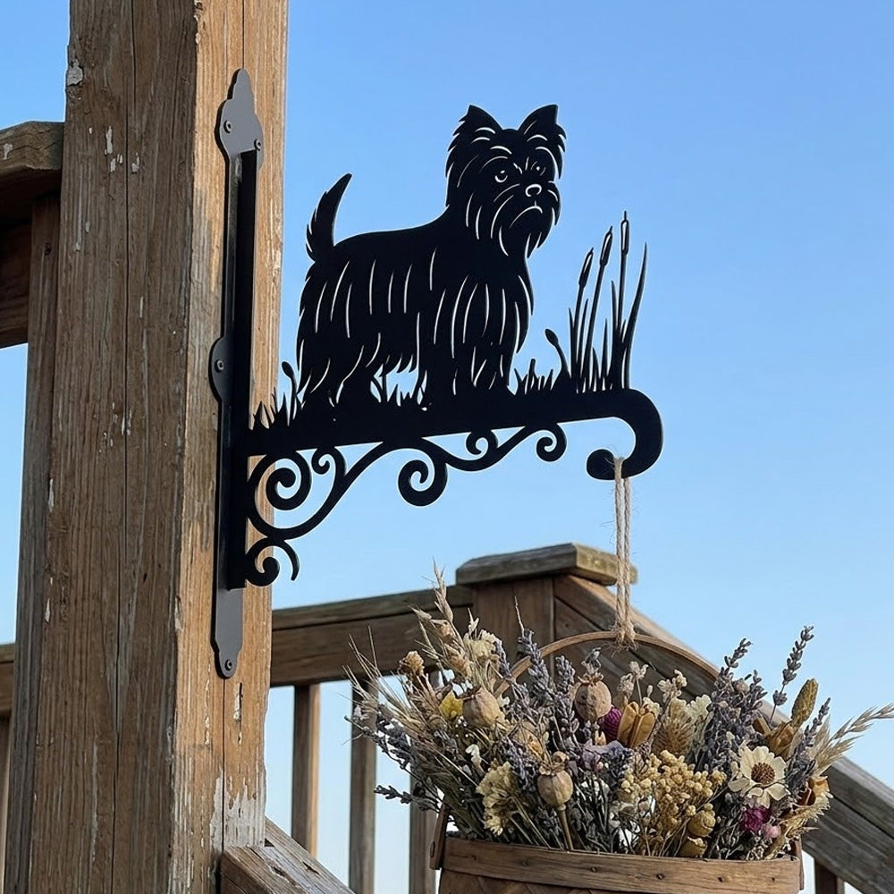 Yorkshire terrier metal hanging basket bracket mounted on outdoor wall for plant decoration
