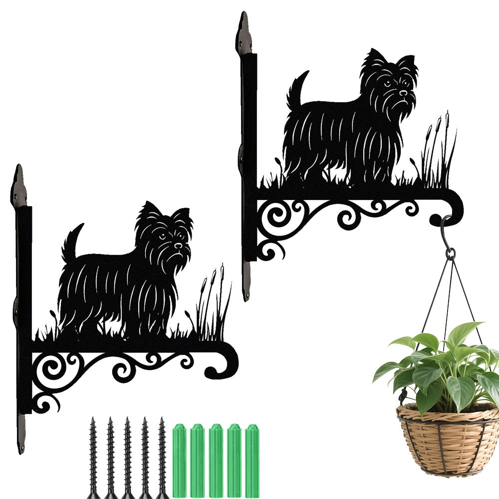 Yorkshire terrier metal hanging basket bracket mounted on outdoor wall for plant decoration